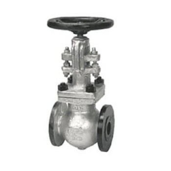 CS Forged Steel Globe Valve Flange End Yoke Type Class - 600 (Wj-Neta)